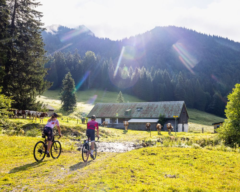 Zwei Personen mit dem Mountainbike radlen auf den Rossstein