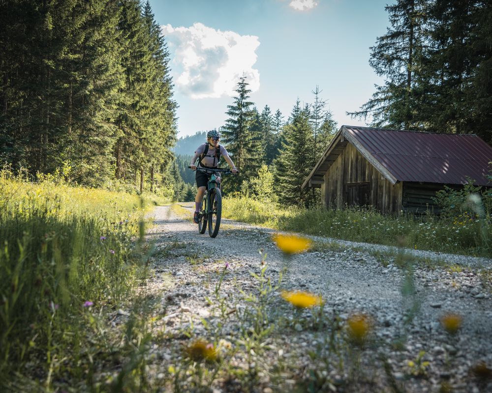 Radfahrerin auf Forststraße