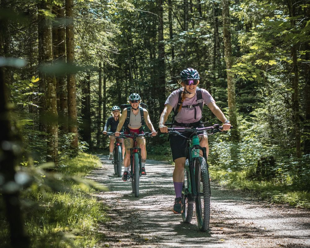 Radfahrer im Wald 