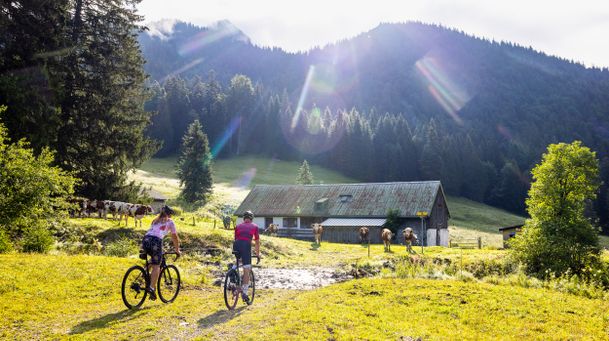 Zwei Personen mit dem Mountainbike radlen auf den Rossstein
