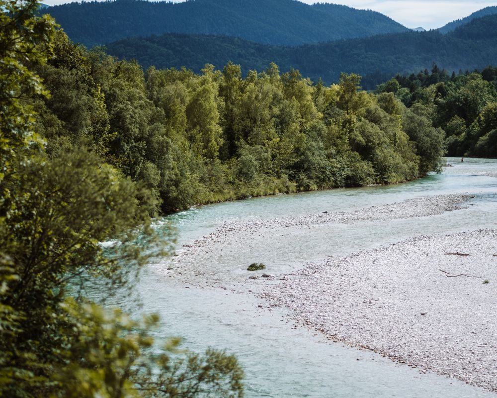 Isarauen