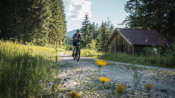 Radfahrerin auf Forststraße